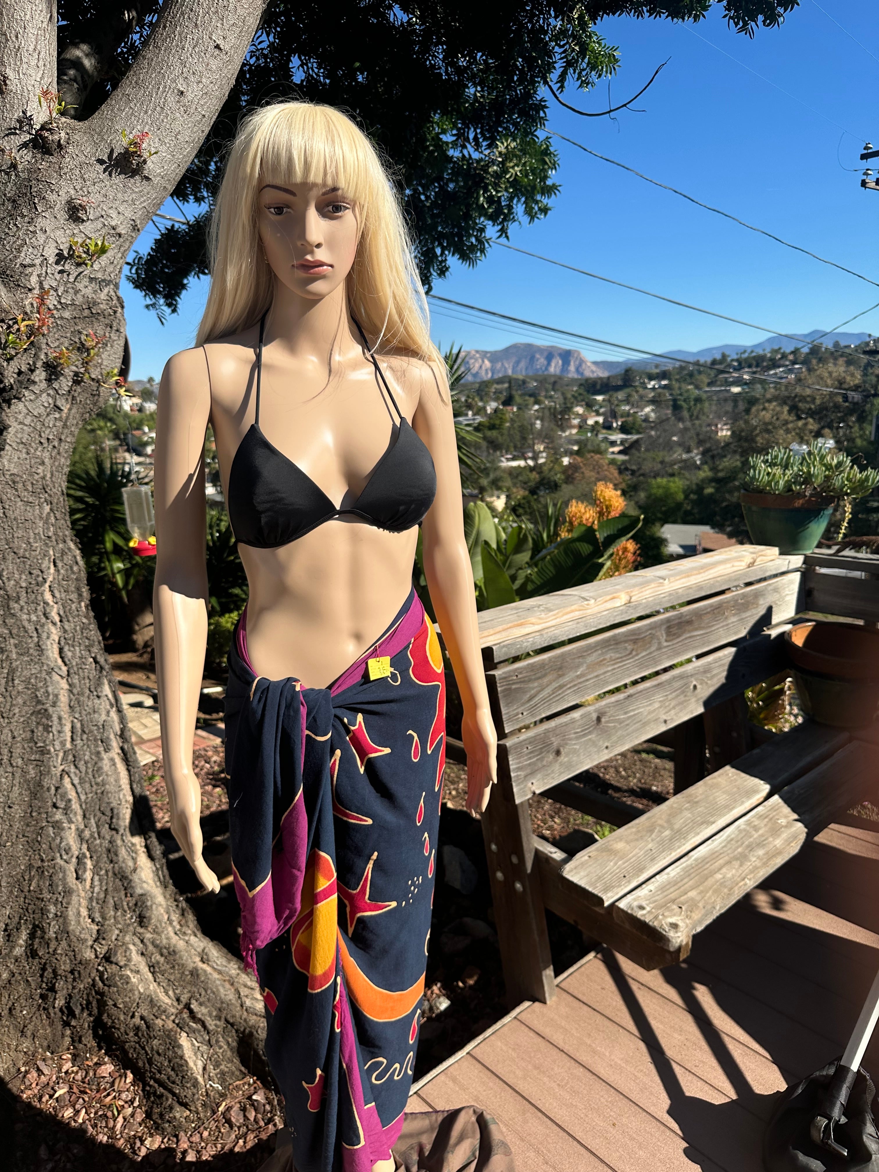 SG1